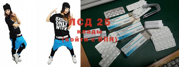 индика Алексеевка